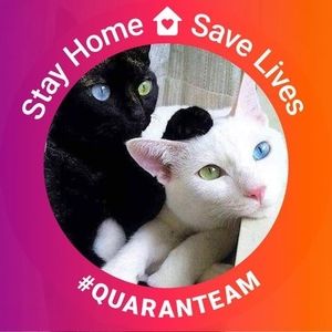 Meet your Posher, Dawna